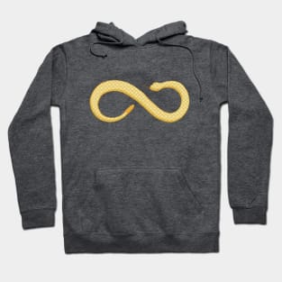 The infinite serpent Hoodie